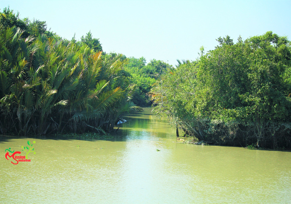 Sundarban Gallery