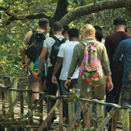 jungle-walking-thumb